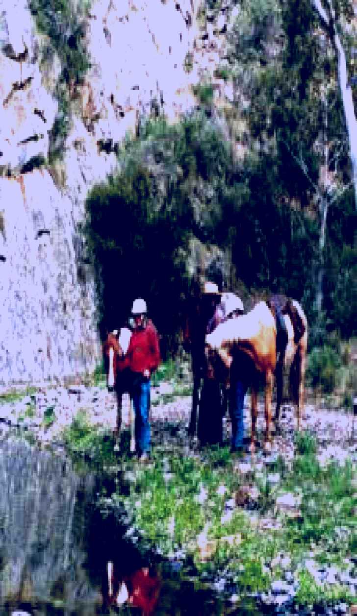 SubjectCoach | Yarramba Horse Riding
