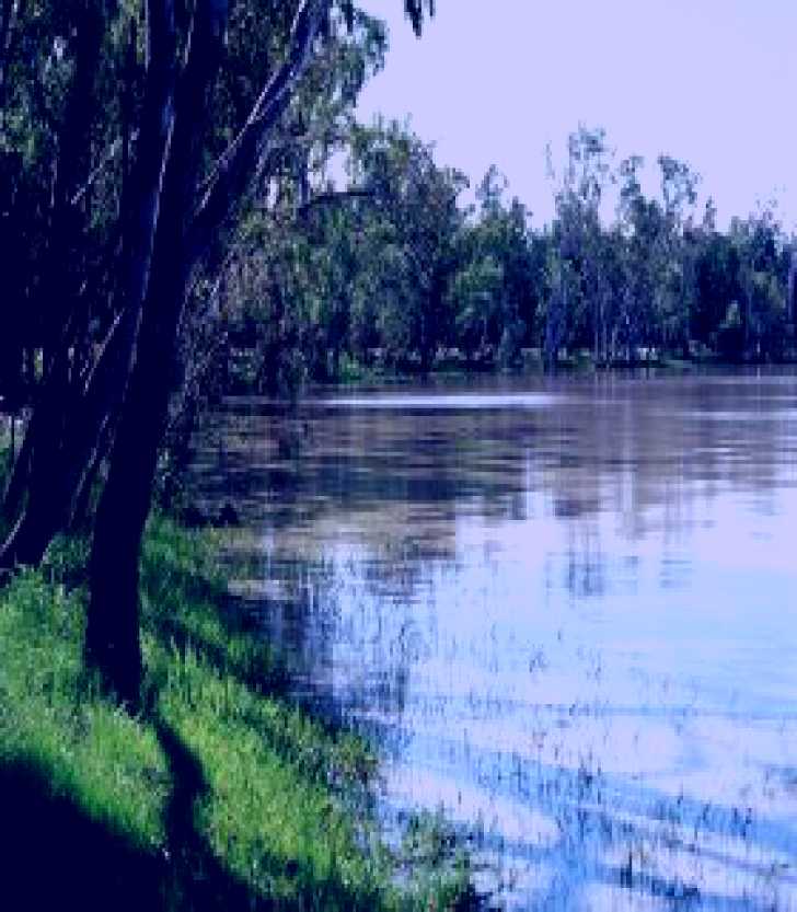 SubjectCoach | Yarrie Lake