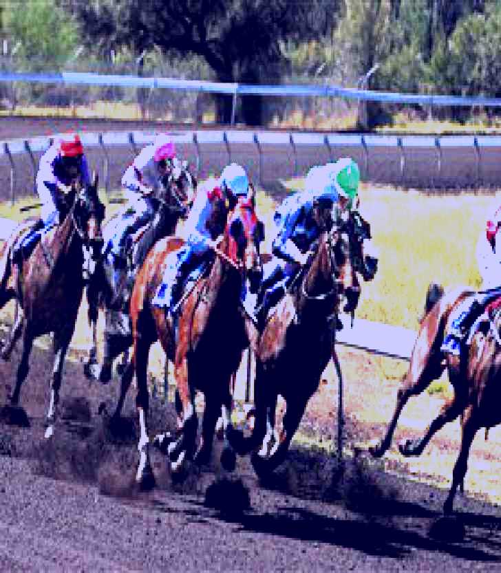 SubjectCoach | Alice Springs Turf Club