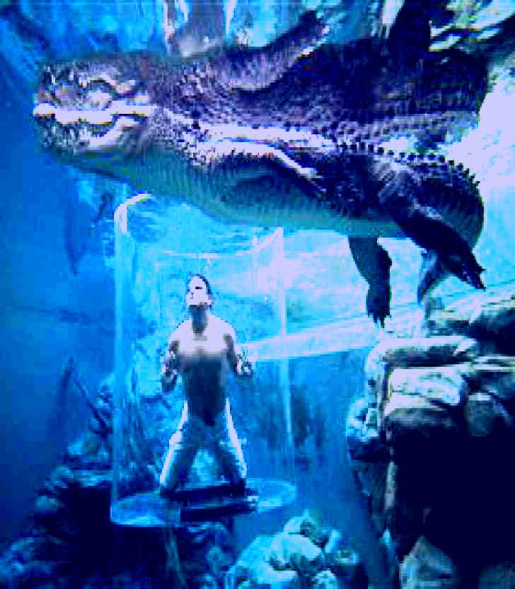 SubjectCoach | Crocosaurus Cove