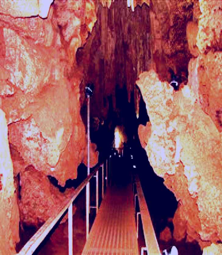 SubjectCoach | Cutta Cutta Caves Nature Park