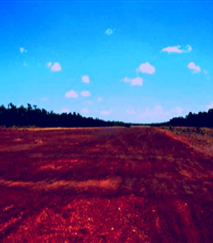 SubjectCoach | Gorrie Airfield