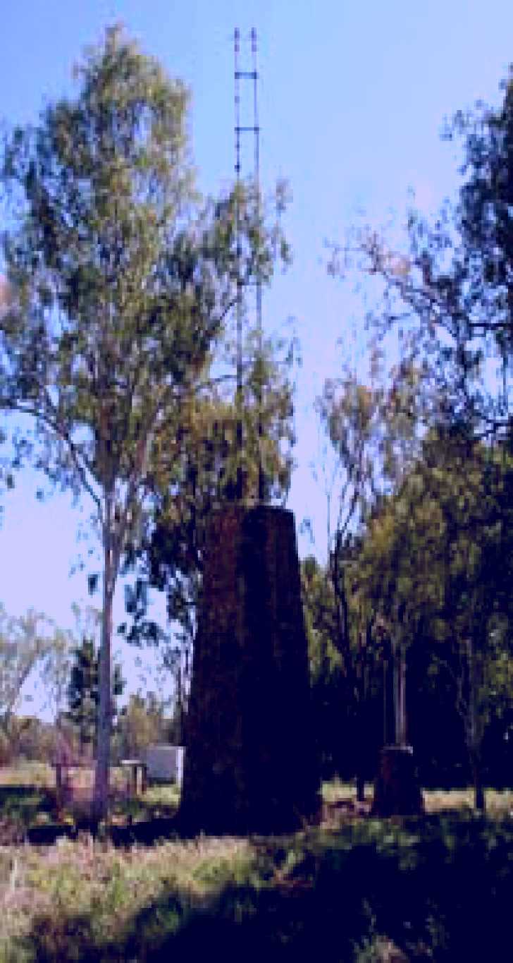 SubjectCoach | Katherine Overland Telegraph Pylons
