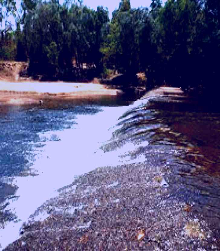 SubjectCoach | Knotts Crossing