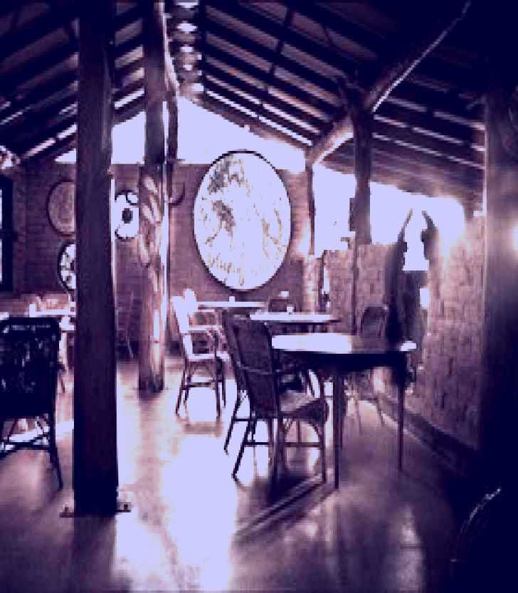 SubjectCoach | Lazy Lizard Tavern