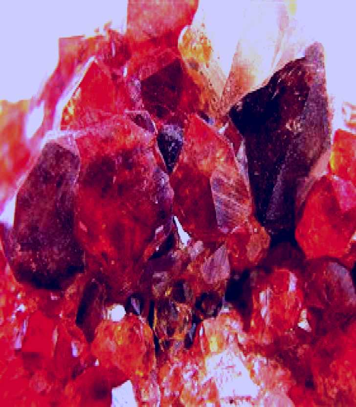 SubjectCoach | NT Rare Rocks