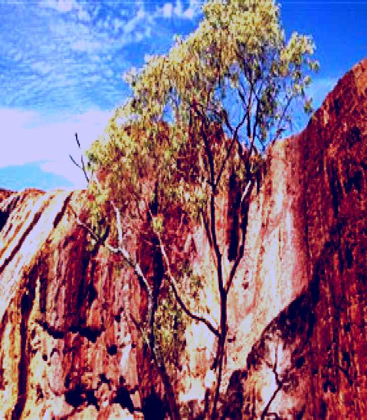 SubjectCoach | Ochre Pits