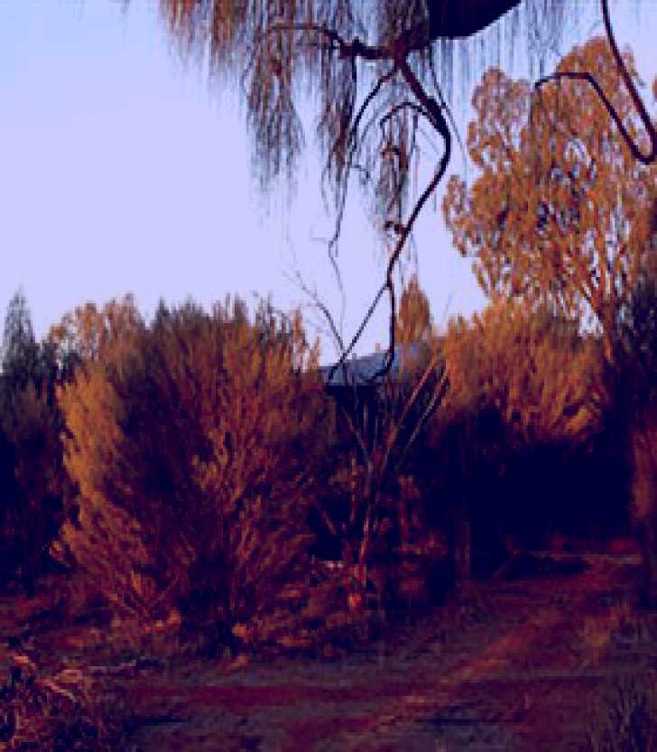 SubjectCoach | Uluru-Kata Tjuta Cultural Centre