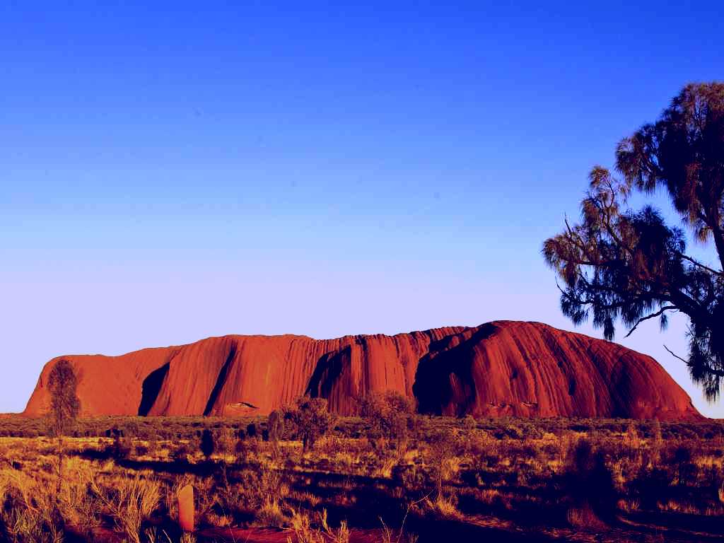 SubjectCoach | Uluru-Kata Tjuta National Park