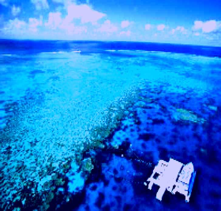 SubjectCoach | Agincourt Reef