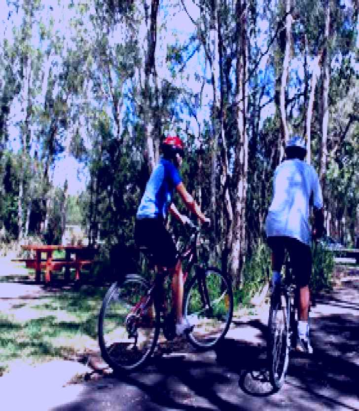 SubjectCoach | Boondall Wetlands Reserve