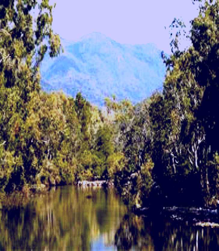 SubjectCoach | Rollingstone Park