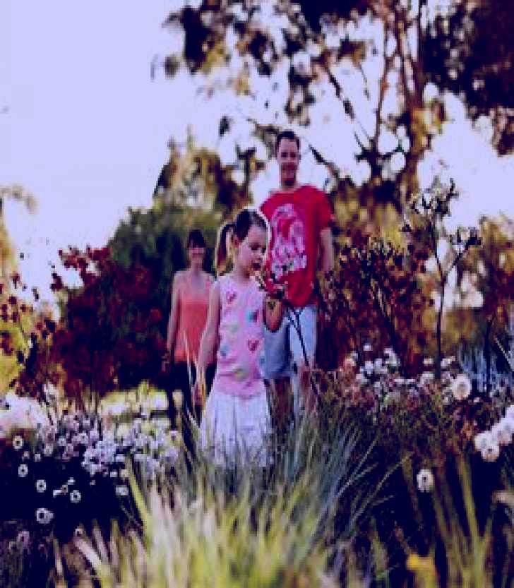 SubjectCoach | Tin Can Bay Wildflower Walk