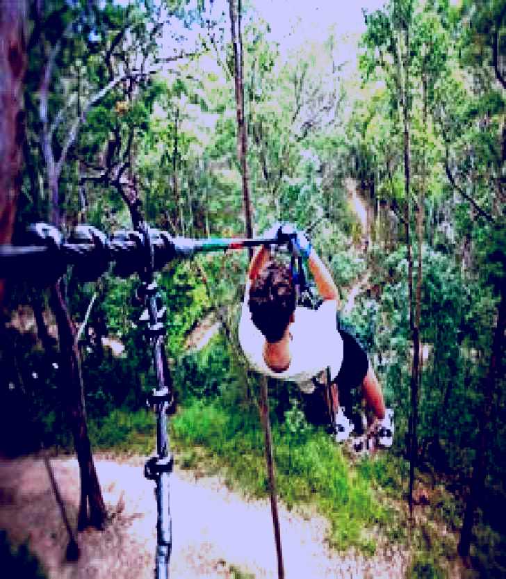 SubjectCoach | TreeTop Challenge