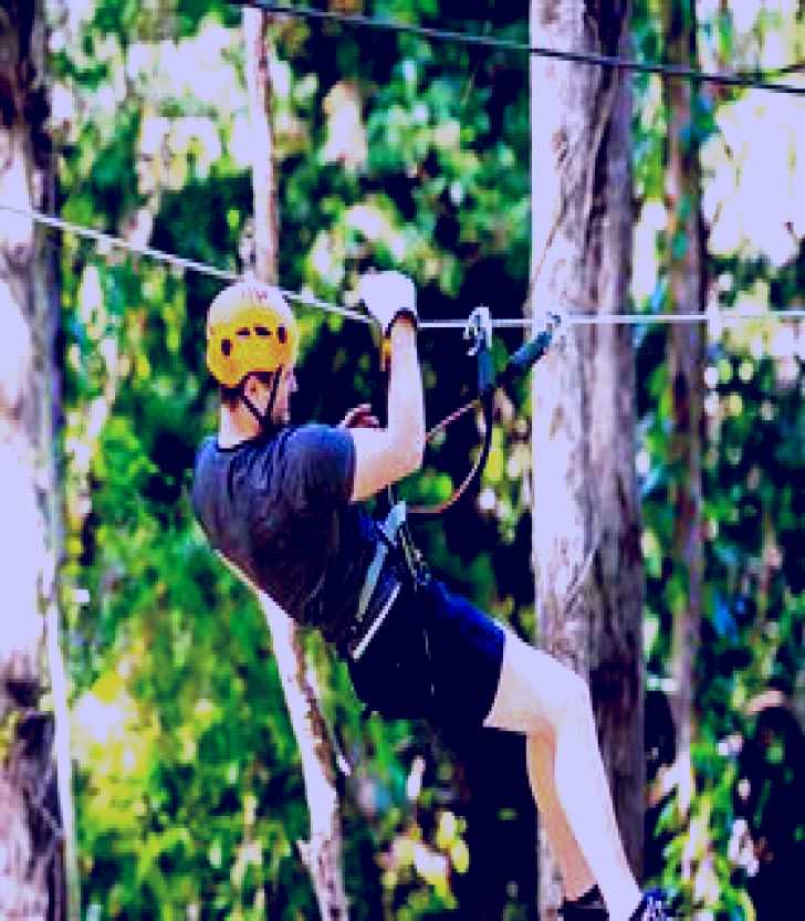 SubjectCoach | TreeTop Challenge Currumbin