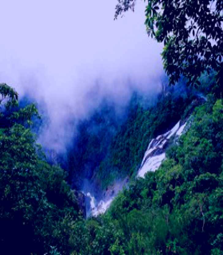 SubjectCoach | Tully Gorge National Park