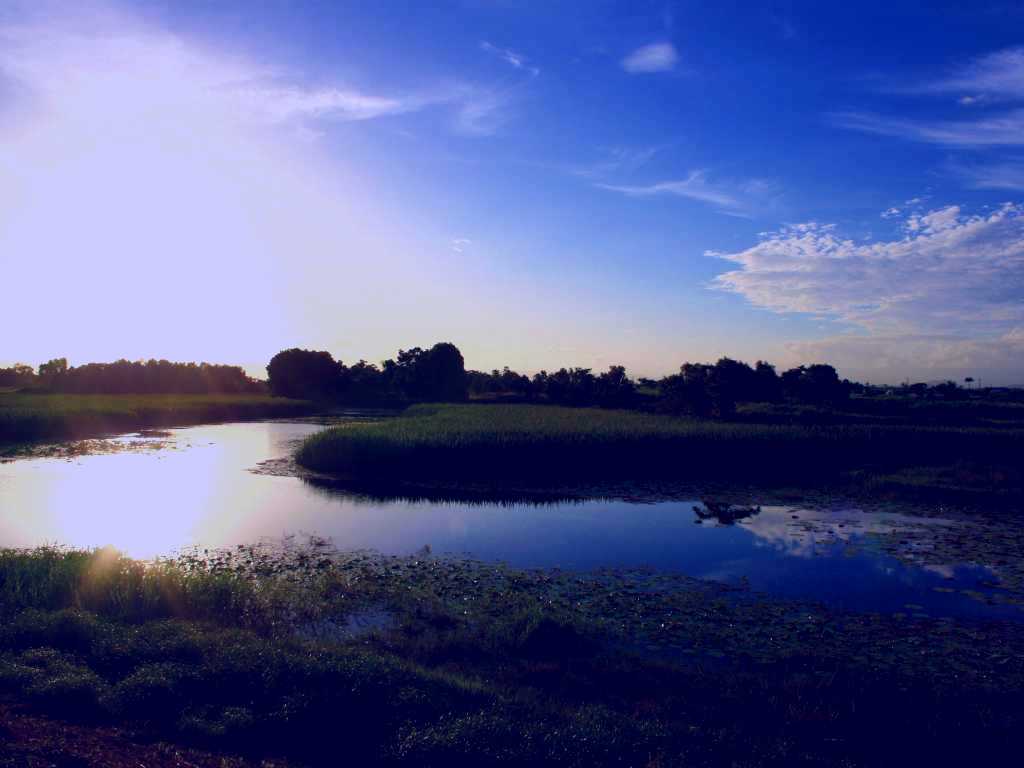 SubjectCoach | TYTO Wetlands