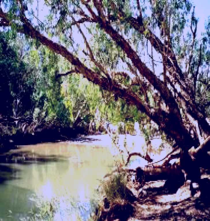 SubjectCoach | Warrego River