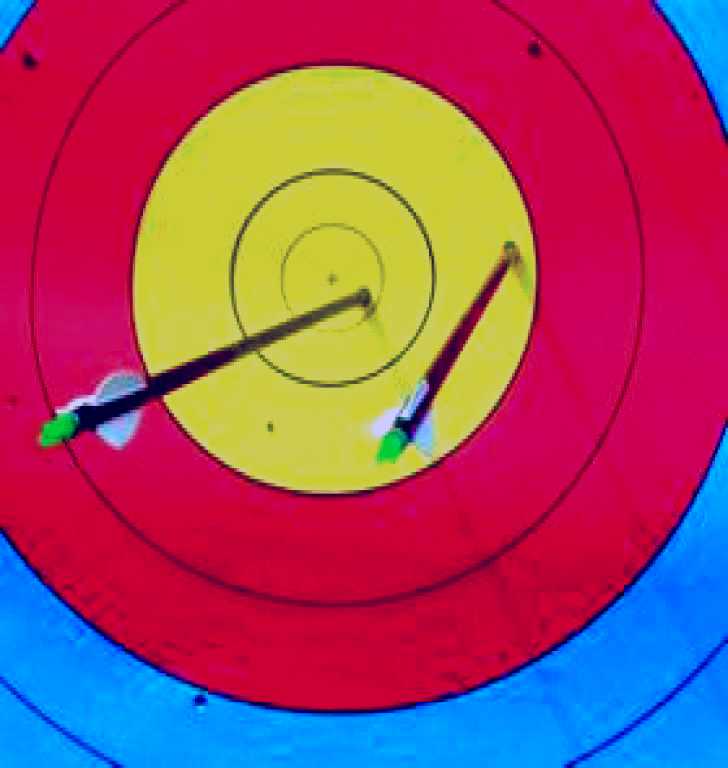 SubjectCoach | Archery Park