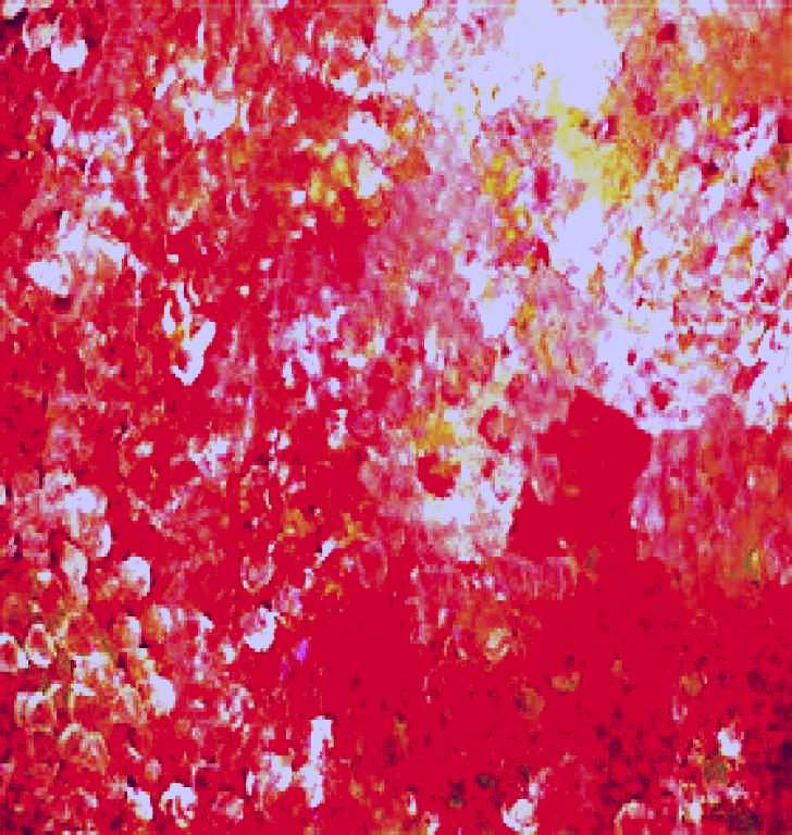 SubjectCoach | Aurora Fine Art Gallery