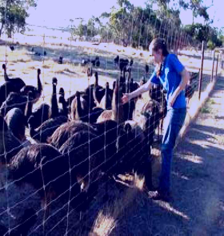 SubjectCoach | Avenue Emus
