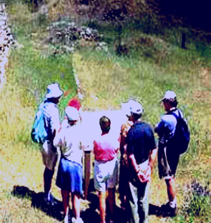 SubjectCoach | Barossa Goldfield Trail