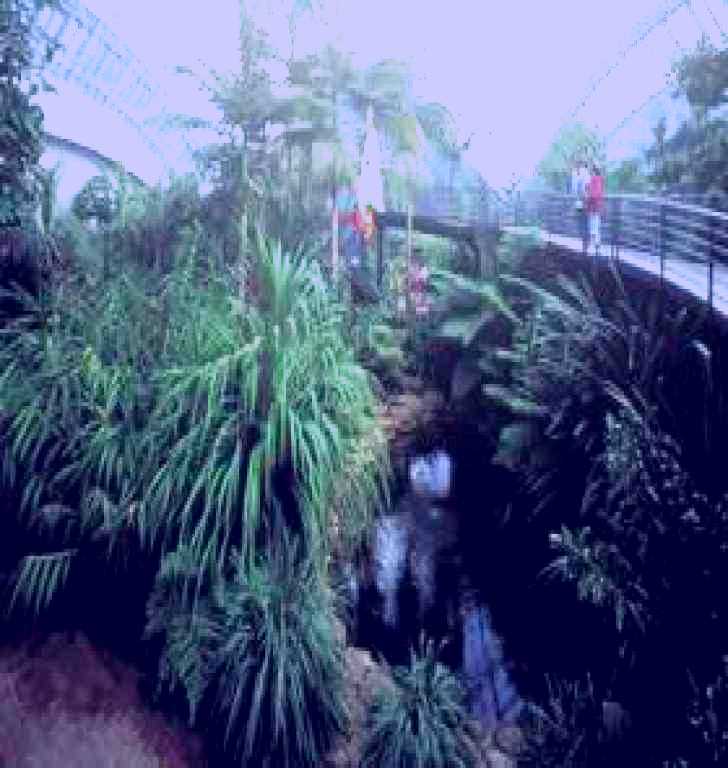 SubjectCoach | Bicentennial Conservatory