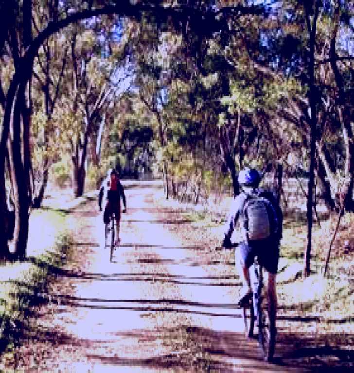 SubjectCoach | Bike About Mountain Bike Tours And Hire