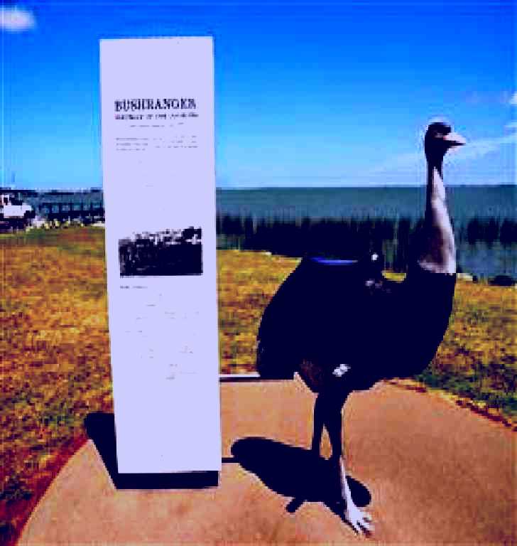 SubjectCoach | Birdman of the Coorong
