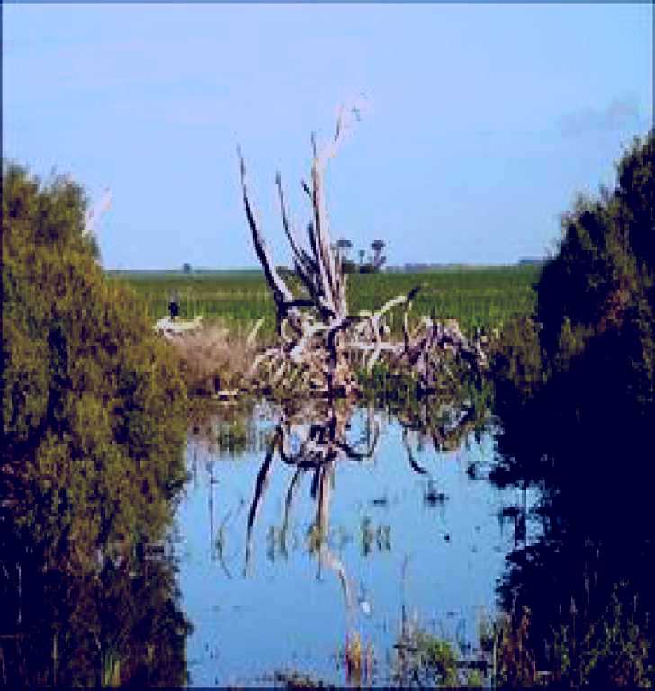 SubjectCoach | Bool Lagoon Game Reserve and Hacks Lagoon Conservation Park