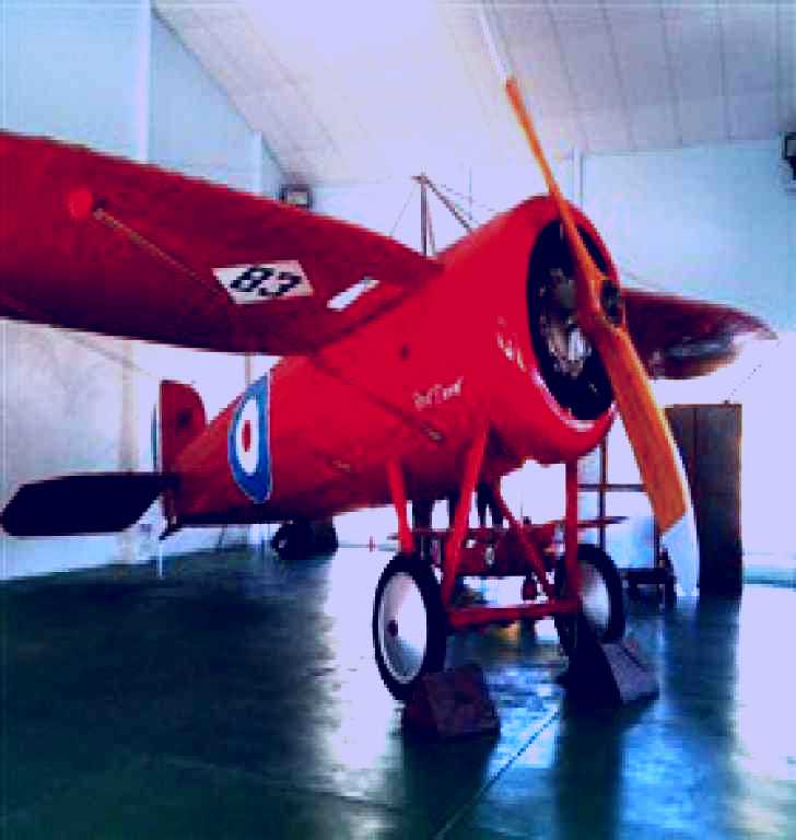 SubjectCoach | Captain Harry Butler Red Devil Monoplane Memorial