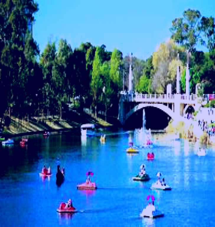 SubjectCoach | Captain Jolleys Paddle Boats