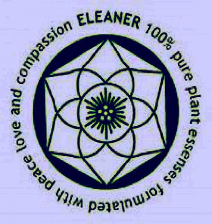 SubjectCoach | Eleaner