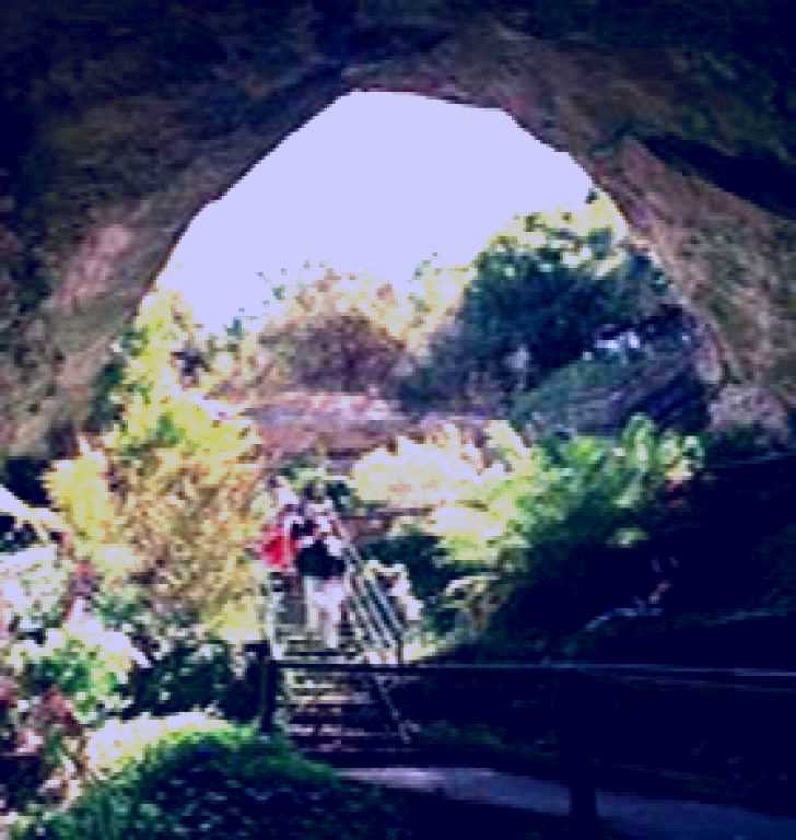 SubjectCoach | Engelbrecht Cave