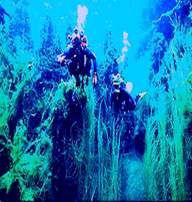 SubjectCoach | Ewens Ponds Conservation Park