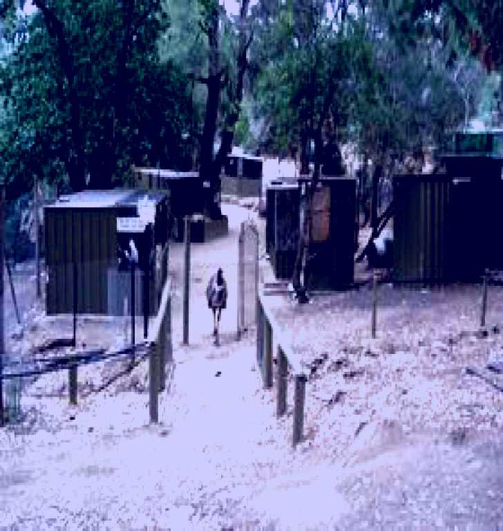 SubjectCoach | Humbug Scrub Wildlife Sanctuary