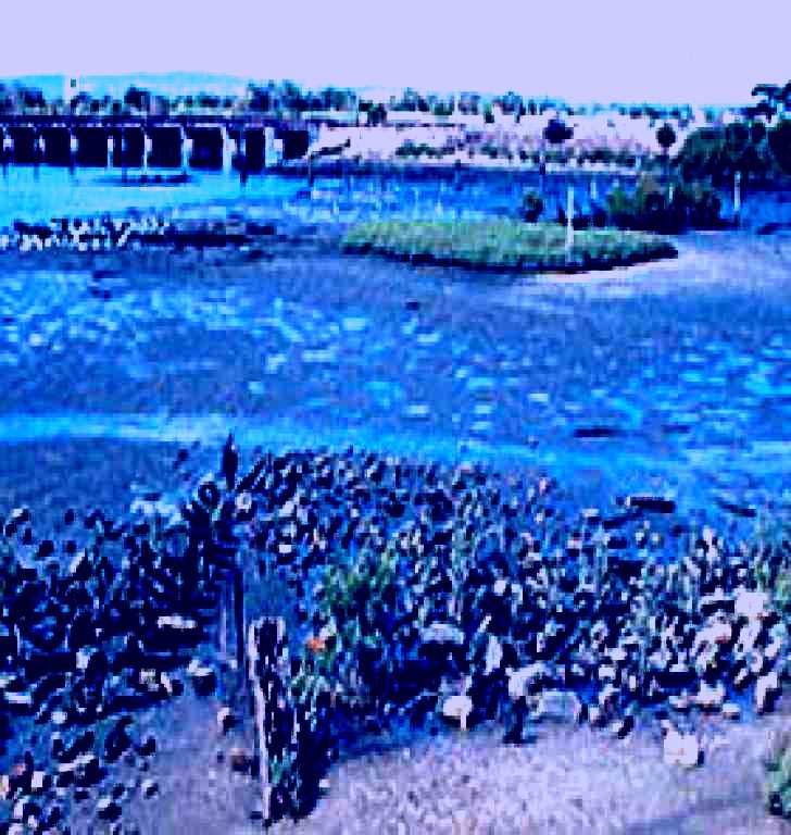 SubjectCoach | Jervois Basin Ships' Graveyard