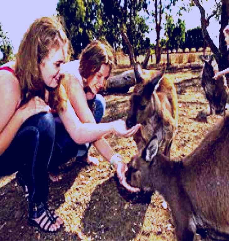 SubjectCoach | Kangaroo Island Wildlife Park