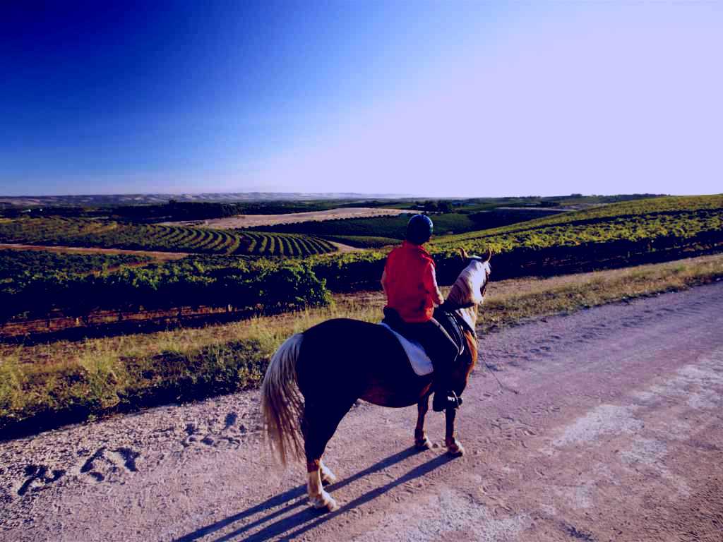 SubjectCoach | Kidman Trail