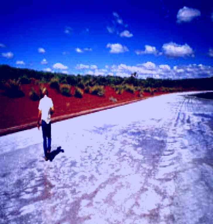SubjectCoach | Lake Gairdner National Park