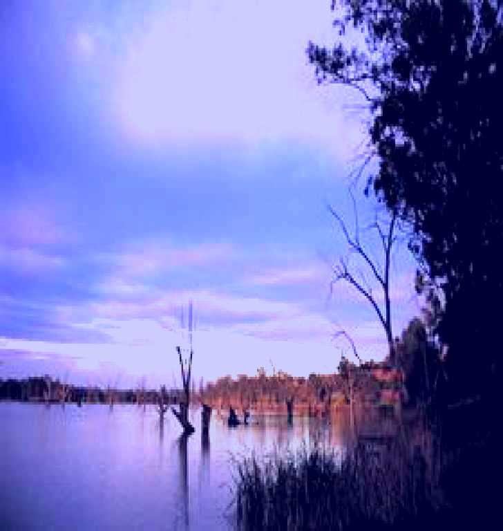 SubjectCoach | Loch Luna Game Reserve and Moorook Game Reserve