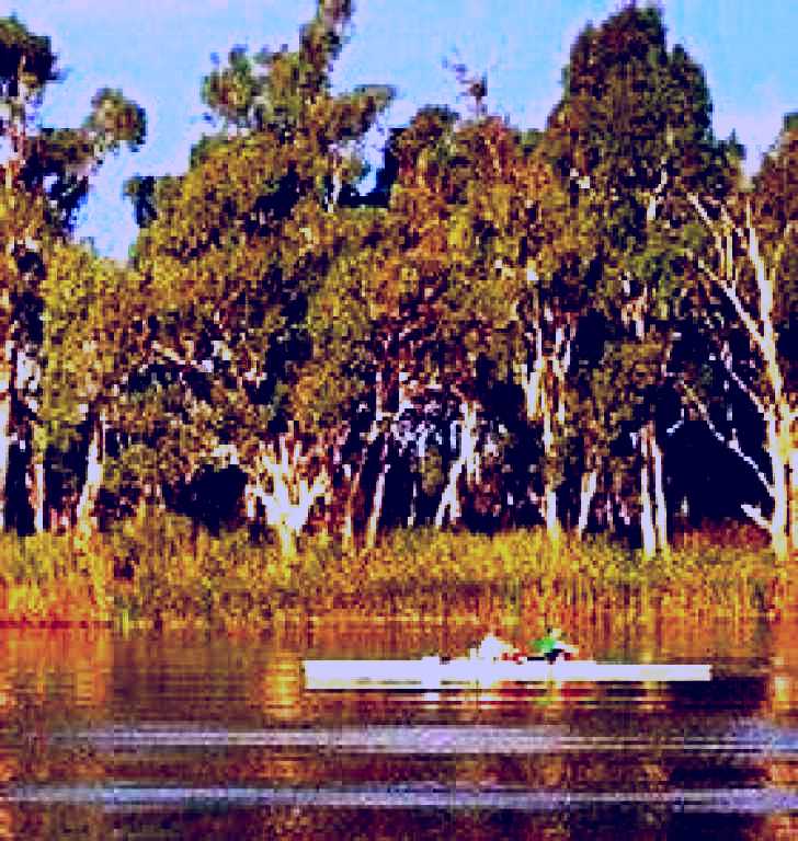 SubjectCoach | Martin Bend Reserve