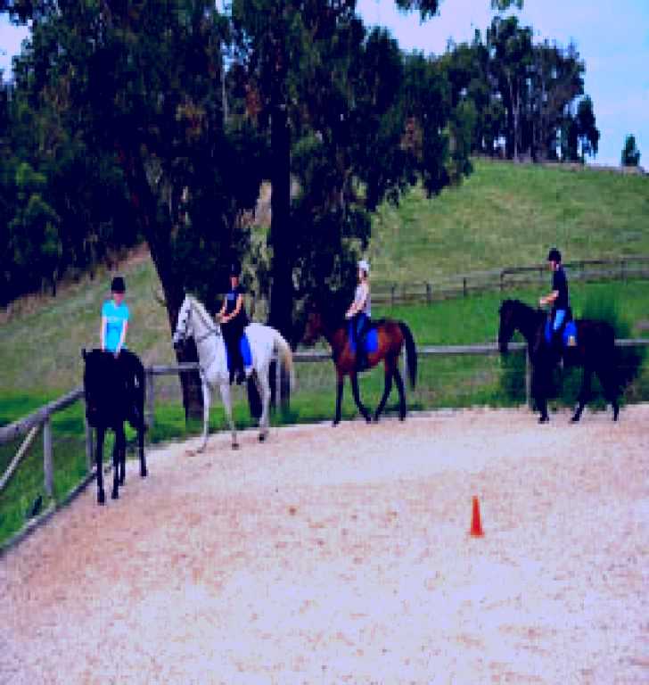 SubjectCoach | Megan Jones Riding School and Trail Rides