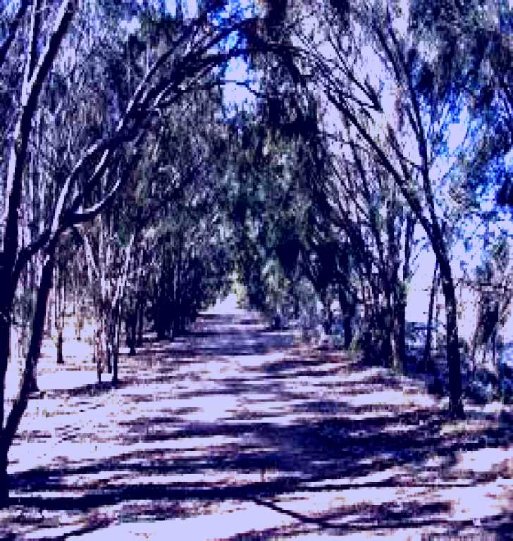 SubjectCoach | Minlaton Walking Trail