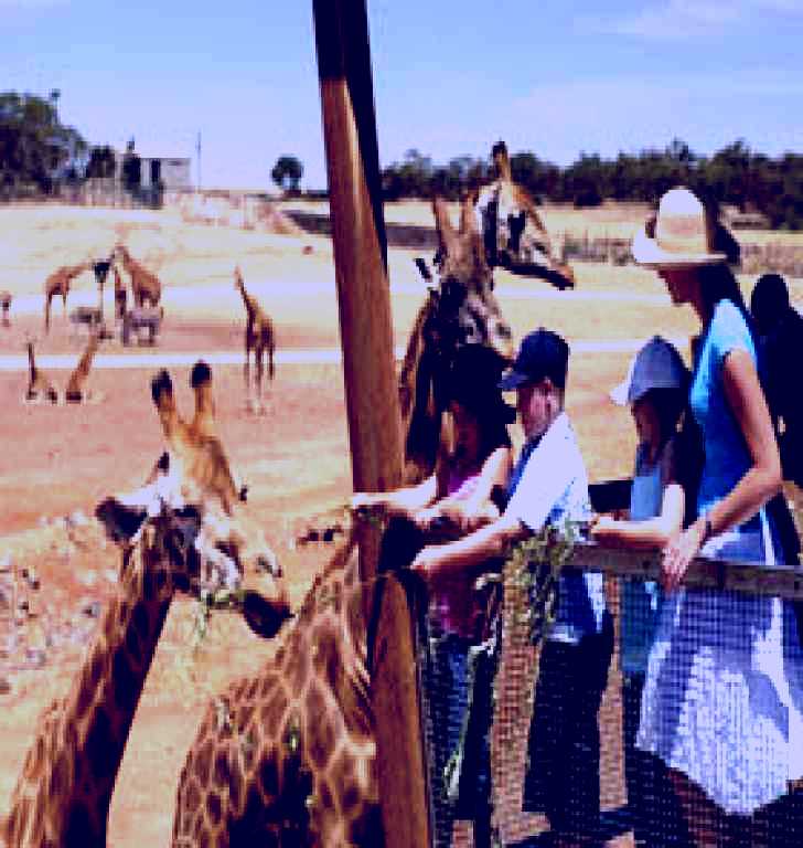 SubjectCoach | Monarto Open Range Zoo