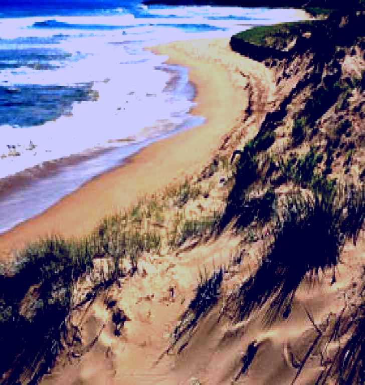 SubjectCoach | Newland Head Conservation Park
