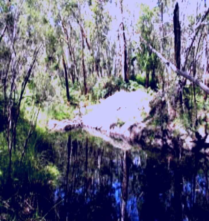 SubjectCoach | Para Wirra Recreation Park