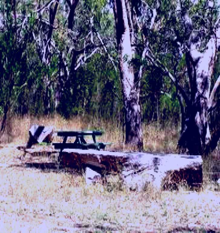 SubjectCoach | Penola Conservation Park