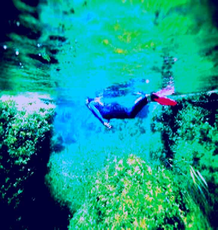 SubjectCoach | Piccaninnie Ponds Conservation Park