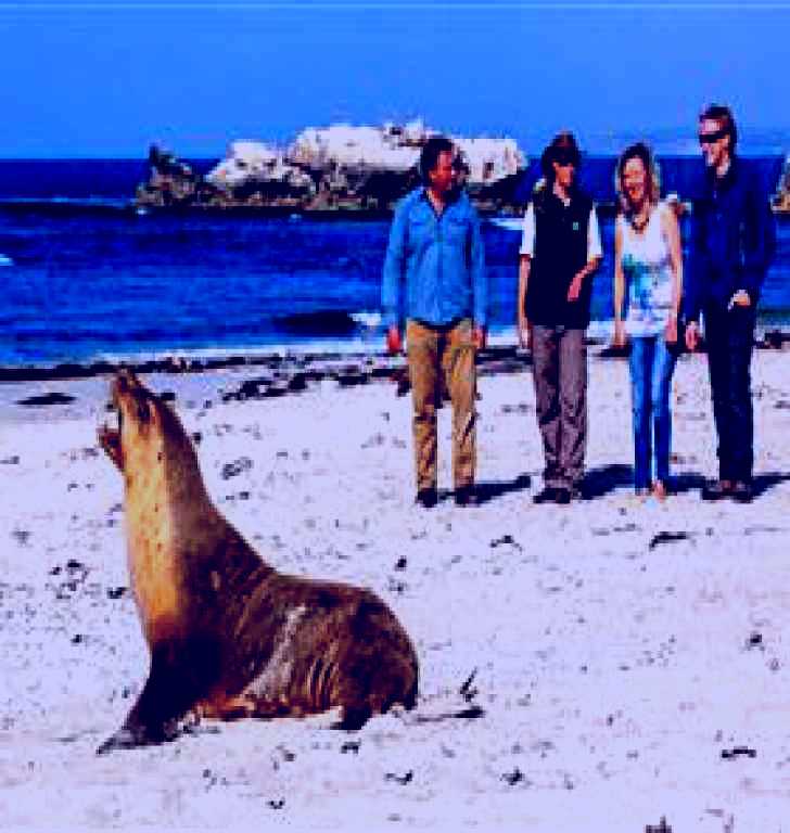 SubjectCoach | Seal Bay Conservation Park